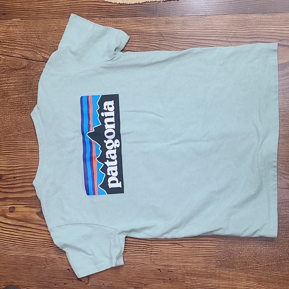 Patagonia t shirt